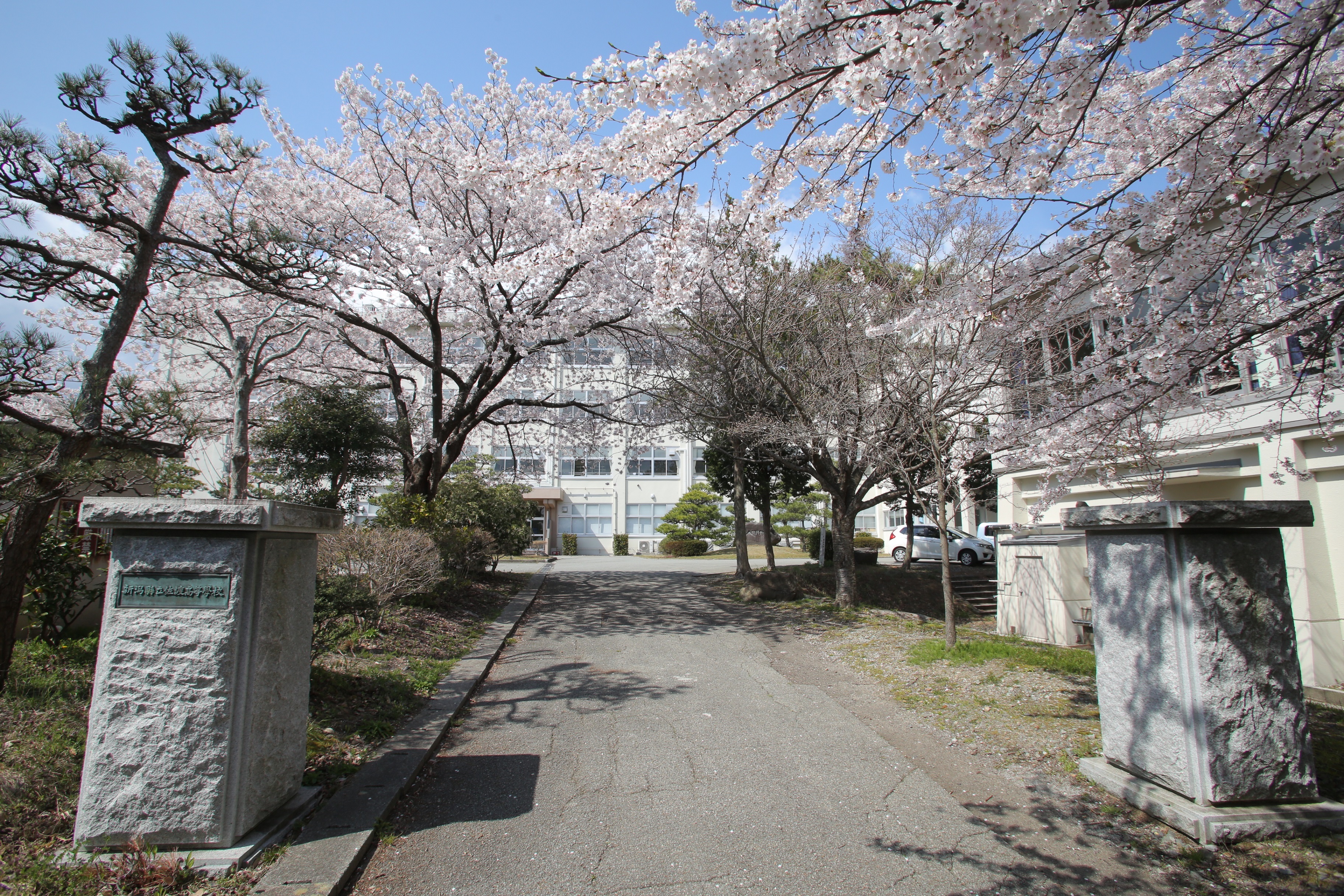 新潟県立佐渡高等学校