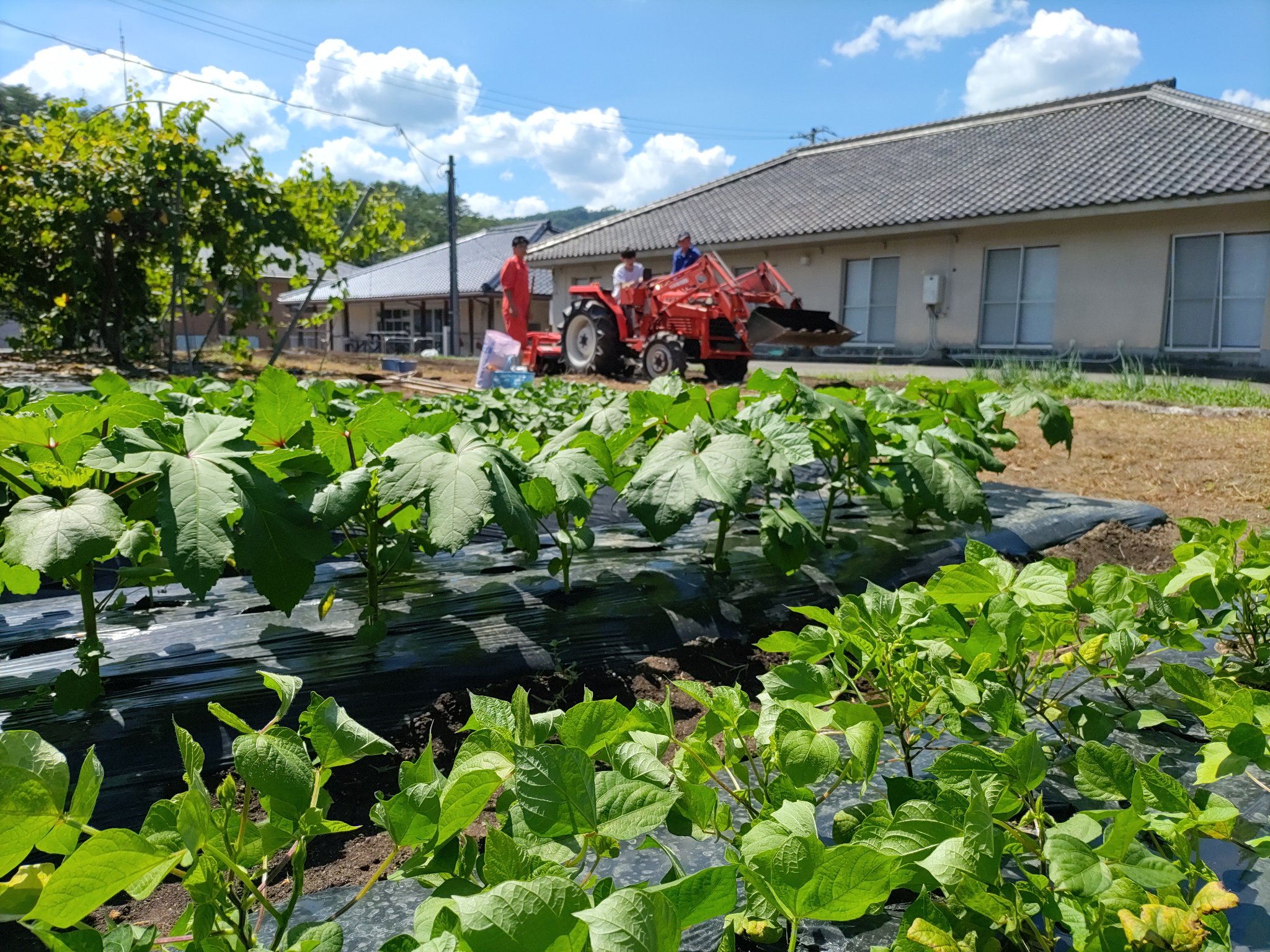 広島　芸北分校「学校説明会」