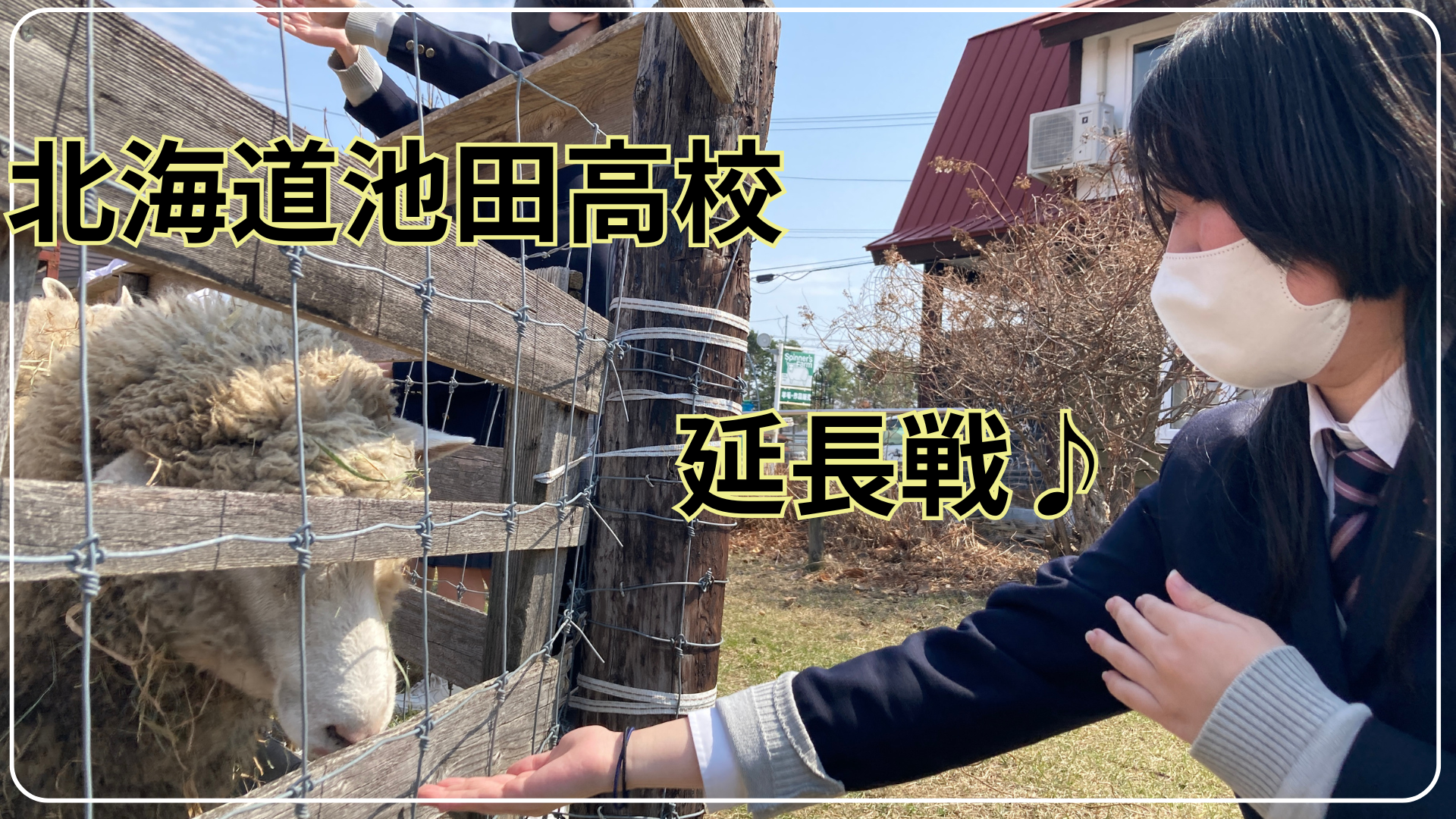 【延長戦♪】まだまだ話せるよ！北海道池田高校です🐮