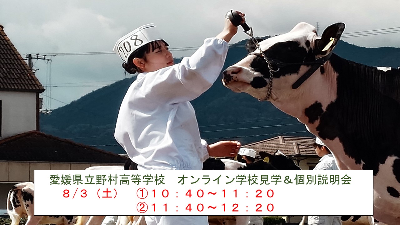 愛媛県立野村高等学校オンライン学校見学・個別説明会②