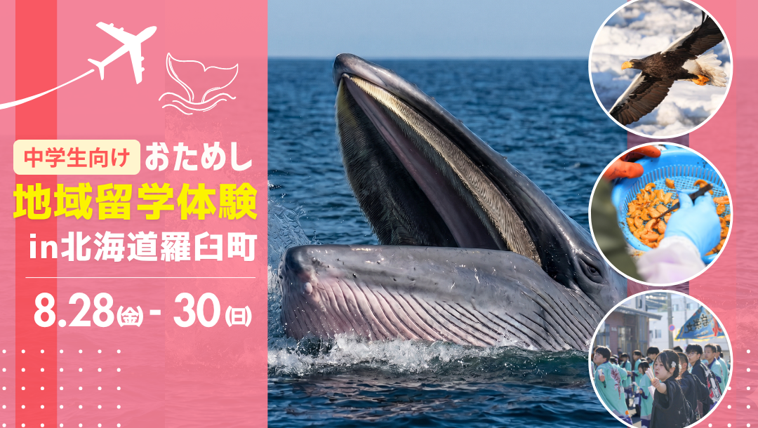 教科書セット（北海道情報大学生向け）バラ売り可 2泊3日｜中学生向け】野生のクジラに出会える！？世界遺産の大自然