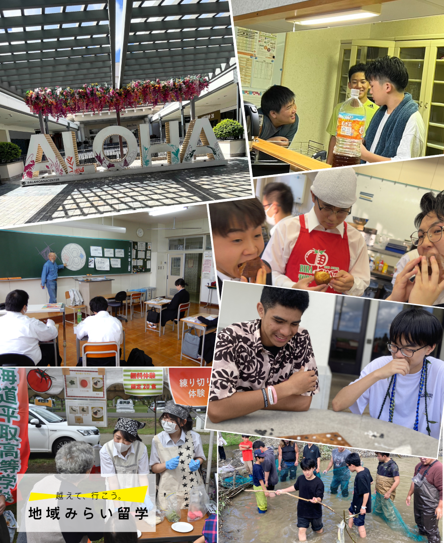 北海道平取高校🍅個別説明会 in オンライン